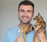 חיות מחמד: שגרת טיפולים מונעים-תמונה